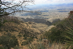 photo thumbnail #7