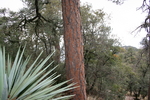 photo thumbnail #13