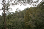 photo thumbnail #14