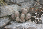 photo thumbnail #15