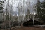 photo thumbnail #8
