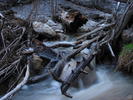photo thumbnail #3