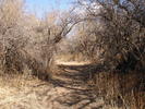 photo thumbnail #1