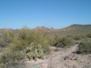 photo thumbnail #2