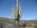 photo thumbnail #9