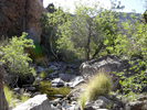 photo thumbnail #14