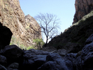 photo thumbnail #15