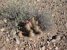 photo thumbnail #2
