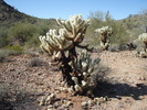 photo thumbnail #4