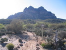 photo thumbnail #1