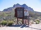 photo thumbnail #9