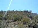 photo thumbnail #9