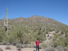 photo thumbnail #4