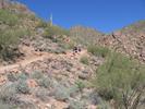photo thumbnail #3