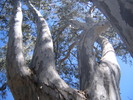 photo thumbnail #7