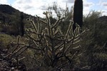 photo thumbnail #7