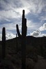 photo thumbnail #8