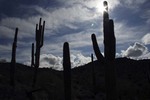 photo thumbnail #9