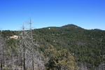 photo thumbnail #4