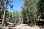 photo thumbnail #8