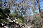 photo thumbnail #10