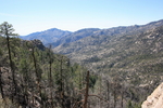 photo thumbnail #11