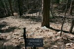 photo thumbnail #13