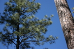 photo thumbnail #14