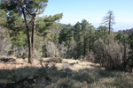 photo thumbnail #15