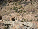 photo thumbnail #1