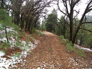 photo thumbnail #4