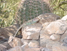 photo thumbnail #4