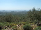 photo thumbnail #5