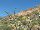 photo thumbnail #6