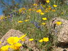 photo thumbnail #8