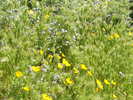 photo thumbnail #12