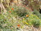 photo thumbnail #13