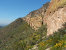 photo thumbnail #14