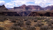 photo thumbnail #14
