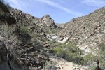 photo thumbnail #8