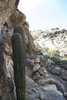 photo thumbnail #11