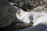 photo thumbnail #13