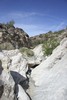 photo thumbnail #15