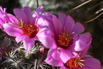 photo thumbnail #7