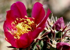 photo thumbnail #8