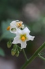 Featured Detail Photo