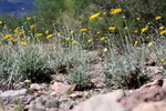 photo of comment