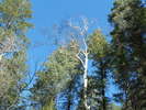 photo thumbnail #7