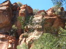 photo thumbnail #10