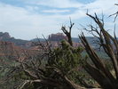 photo thumbnail #7